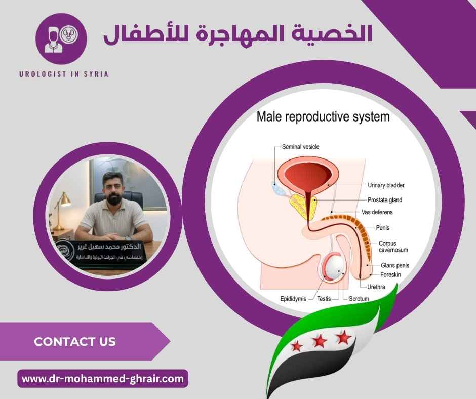 الخصية المهاجرة للأطفال